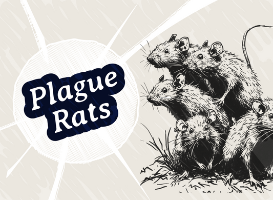 Black Plague Rats card game, Kingdoms, best casual family card game